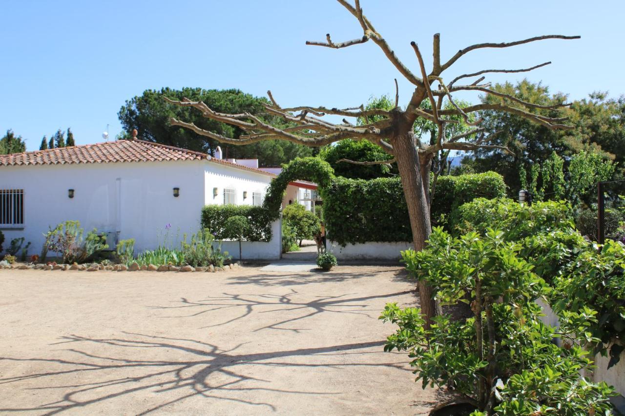 Affittacamere Casa Gecko *